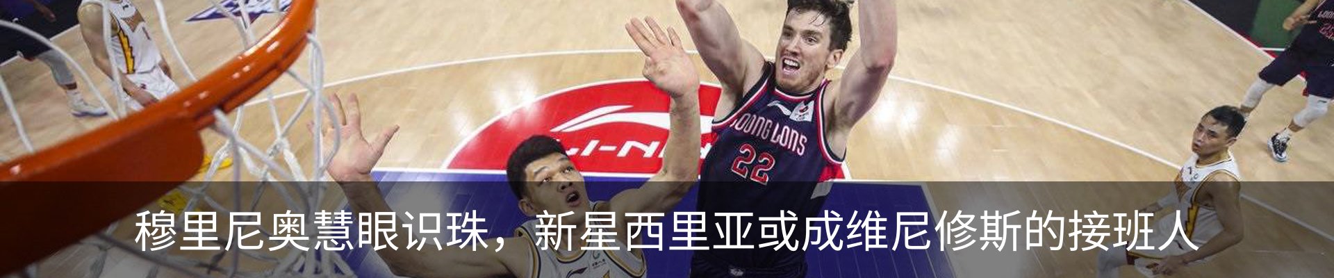 新闻动态