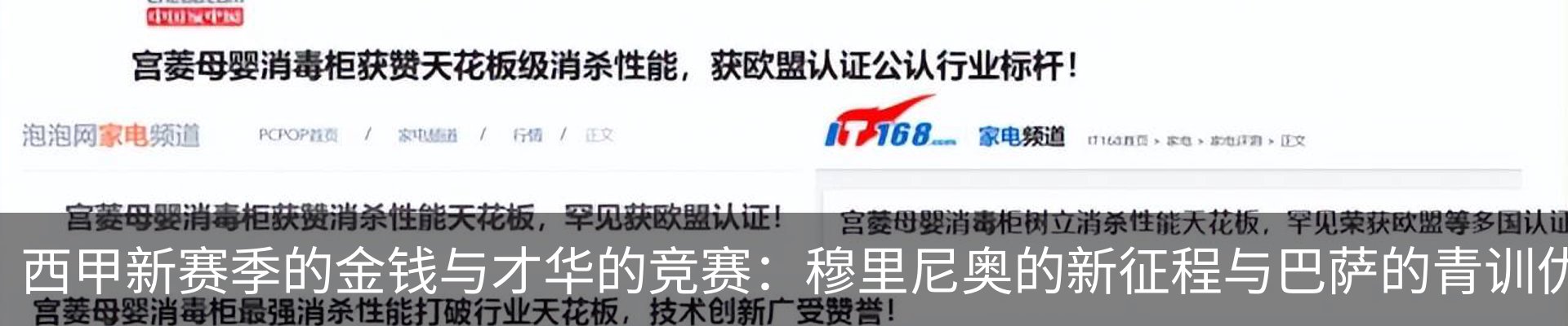 新闻动态